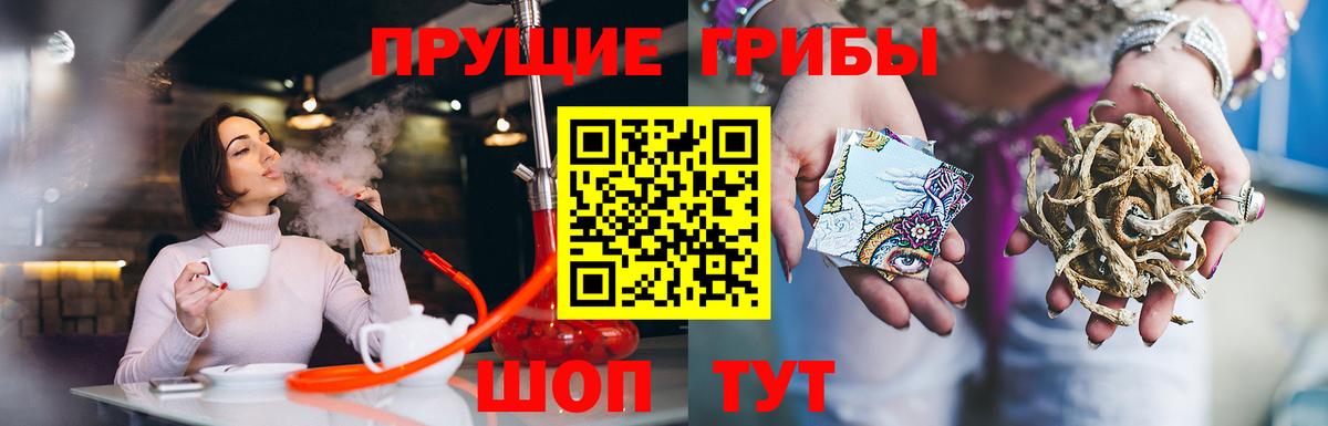 наркота  Галлюциногенные грибы MAGIC MUSHROOMS  Галлюциногенные грибы ЛСД  Вход с VPN  Строитель 